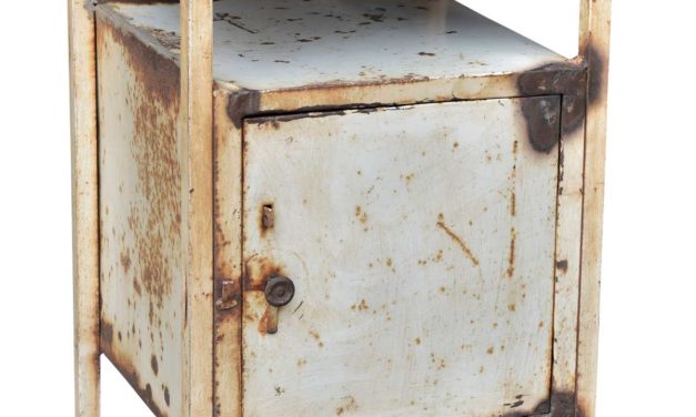 TRADEMARK LIVING Råt og gammelt hospitalskabinet – cream og jern