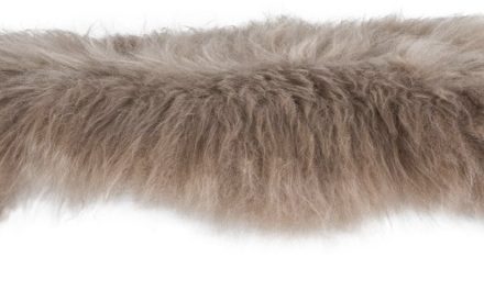 CANETT Lara lammeskind – Champagne