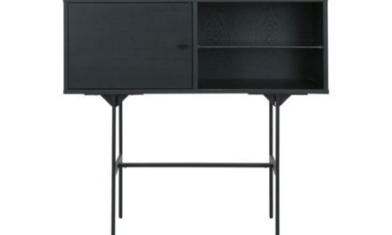 CANETT Mila skab – sort egetræsfinér/jern, m. 1 låge og 2 hylder