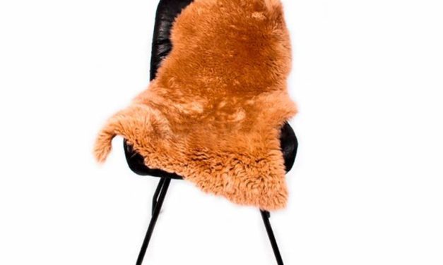 Lux New Zealand lammeskind, Cognac