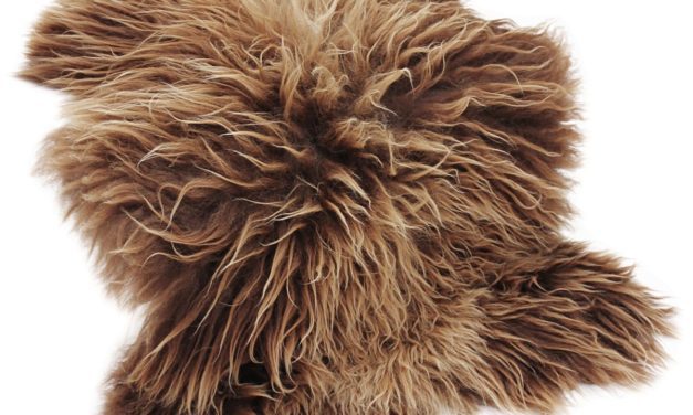 CANETT Pels skind – Brun