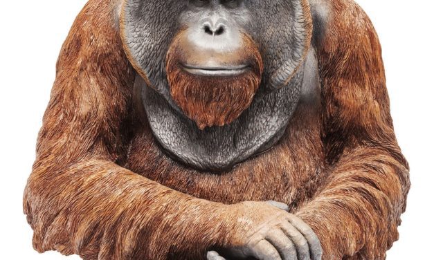 Dekoration Figur Monkey Orangutan Stor