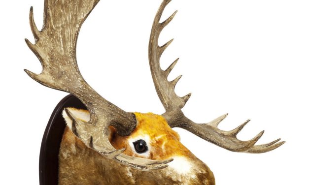 Dekoration Antler Elk Fur