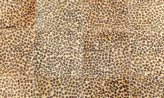 Tæppe Square Leo 240 x 170 cm