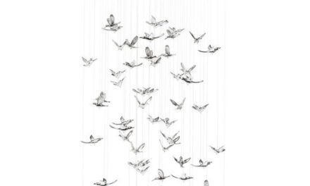 Loftslampe Flying Birds Krom