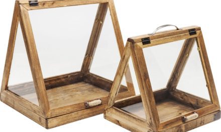 Montre Greenhouse Cookies (2/Sæt)