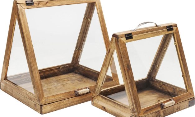 Montre Greenhouse Cookies (2/Sæt)