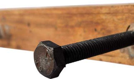 TRADEMARK LIVING Knagerække i træ og med 3 kroge