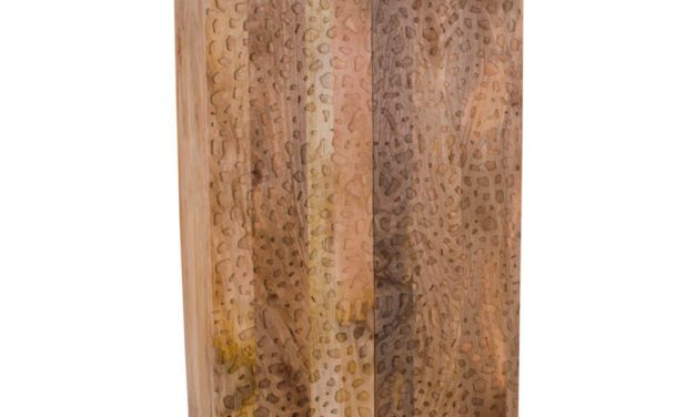 HOUSE NORDIC Kapra skab i naturligt mangotræ med 2 døre