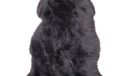 HOUSE NORDIC lammeskind i gråt