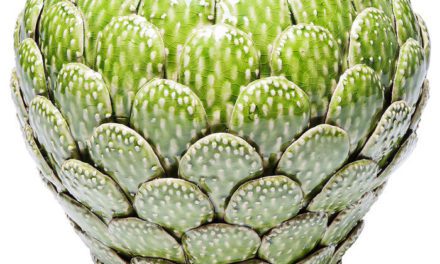KARE DESIGN Vase Prickly Pear 25 cm