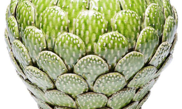 KARE DESIGN Vase Prickly Pear 25 cm