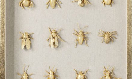 KARE DESIGN Vægdekoration, Frame Bugs 60 x 60 cm