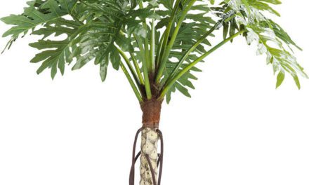 KARE DESIGN Dekoratinsplante, Big Monstera 175 cm