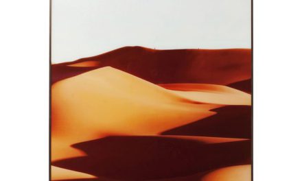 KARE DESIGN Billede, Frame Alu Desert Shadow 80 x 120 cm