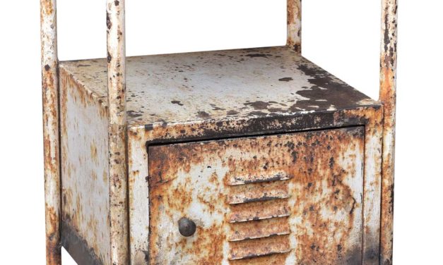 TRADEMARK LIVING Råt og gammelt hospitalskabinet – cream og jern