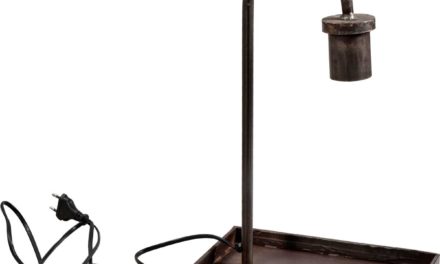 TRADEMARK LIVING Bordlampe – jern med klar lak