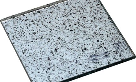 TRADEMARK LIVING Bordskåner/coaster i glas – small