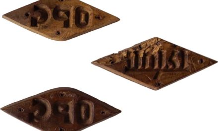 TRADEMARK LIVING Original gammel bogstavplade i træ – sæt med 10 stk