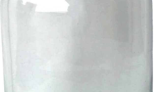 TRADEMARK LIVING Fin enkel glasvase – large