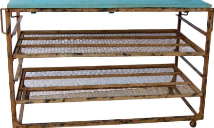 TRADEMARK LIVING Stor cool disk / display