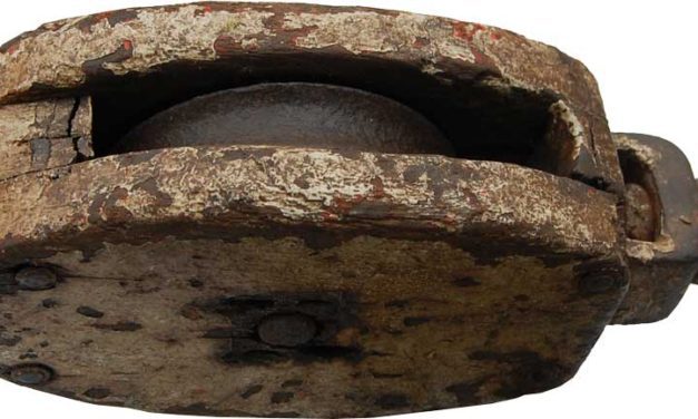 TRADEMARK LIVING Trækrog – original gammel