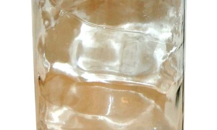 TRADEMARK LIVING Glaskrukke med låg – large