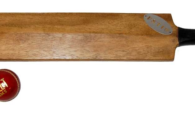 TRADEMARK LIVING Cricket bat med bold