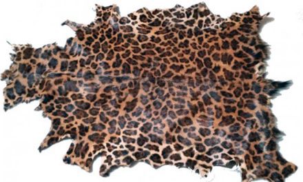 Gedeskind, Leopard print.
