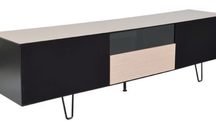 Leon TV-bord eg/sort med opbevaring og glashylder