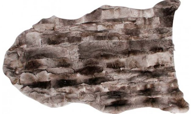 Kaninskind, mørkegrå