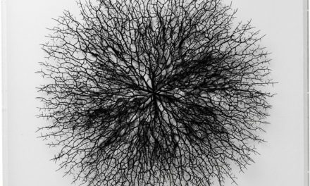 KARE DESIGN vægdekoration, m. Ramme Vascular White 90x90cm