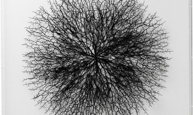 KARE DESIGN vægdekoration, m. Ramme Vascular White 90x90cm
