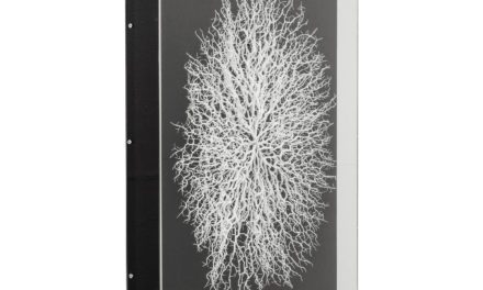 KARE DESIGN vægdekoration, m. Ramme Vascular Black 90x90cm
