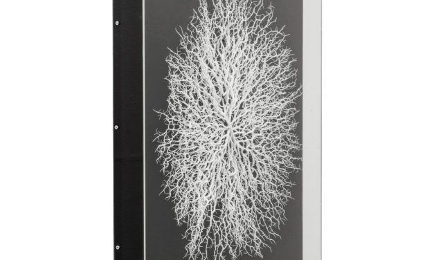 KARE DESIGN vægdekoration, m. Ramme Vascular Black 90x90cm