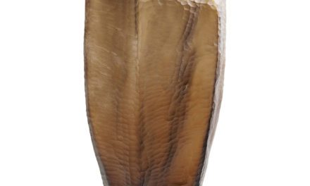 KARE DESIGN Bieco Vase