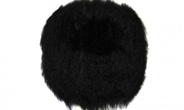 Tibetan skindhynde, rund, sort