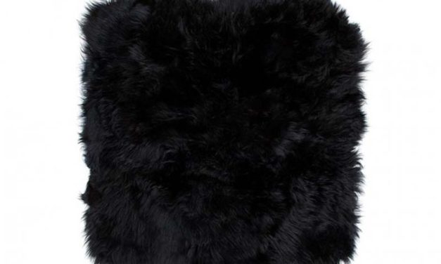 New Zealand skindhynde, sort