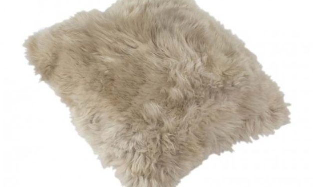 New Zealand lammeskinds pude, lysegrå, 40cm.