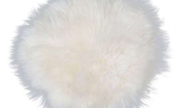 New Zealand rund skindhynde, hvid