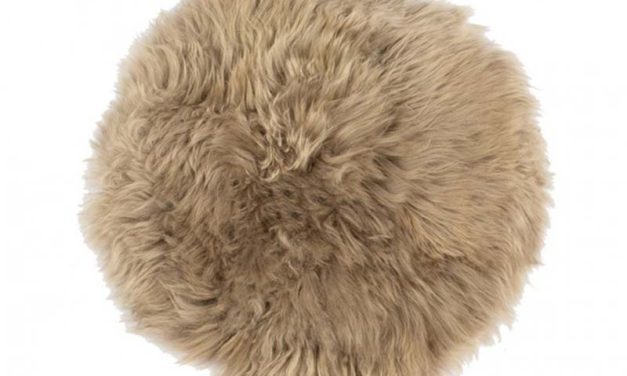 New Zealand rund skindhynde