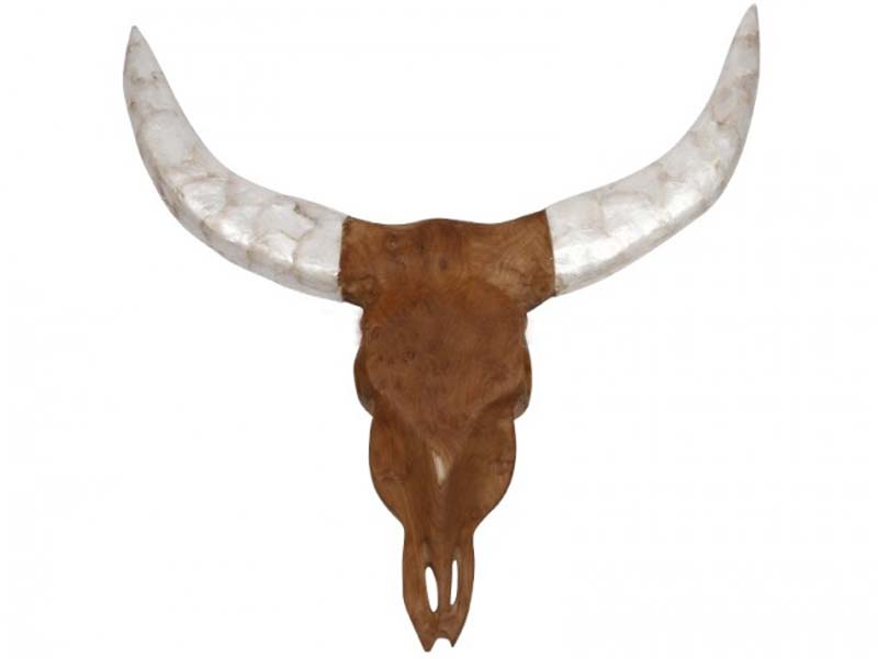 Buffalo hoved, teak træ, hvide horn