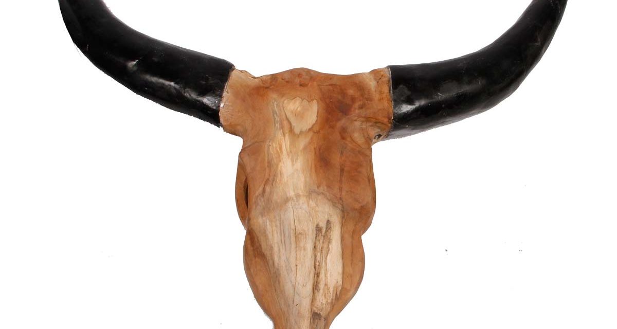 Buffalo hoved, teak træ, sorte horn