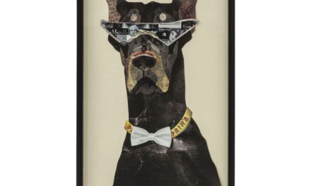 KARE DESIGN Billede, Frame Art Cool Dog 121x61cm