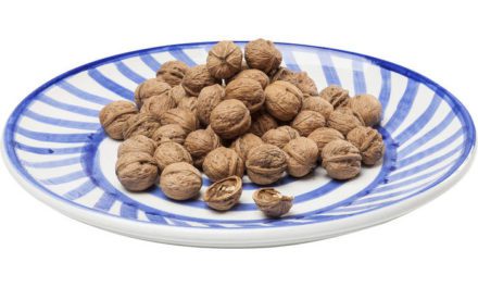 KARE DESIGN Tallerken, Rio Circles Ø42cm