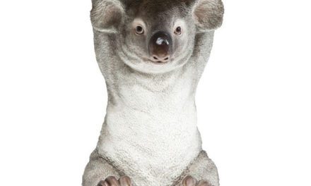 KARE DESIGN Sidebord, Animal Koala Ø33cm