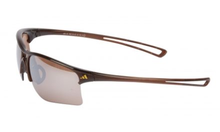 Adidas Raylor – Løbe- og Cykelbrille – Shiny Brown/Contrast