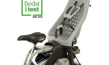 Barnestol Yepp Maxi Grå/sølv -Testvinder