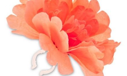 Blomst Basil rød tangerine til styr eller stel