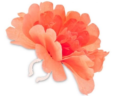 Blomst Basil rød tangerine til styr eller stel